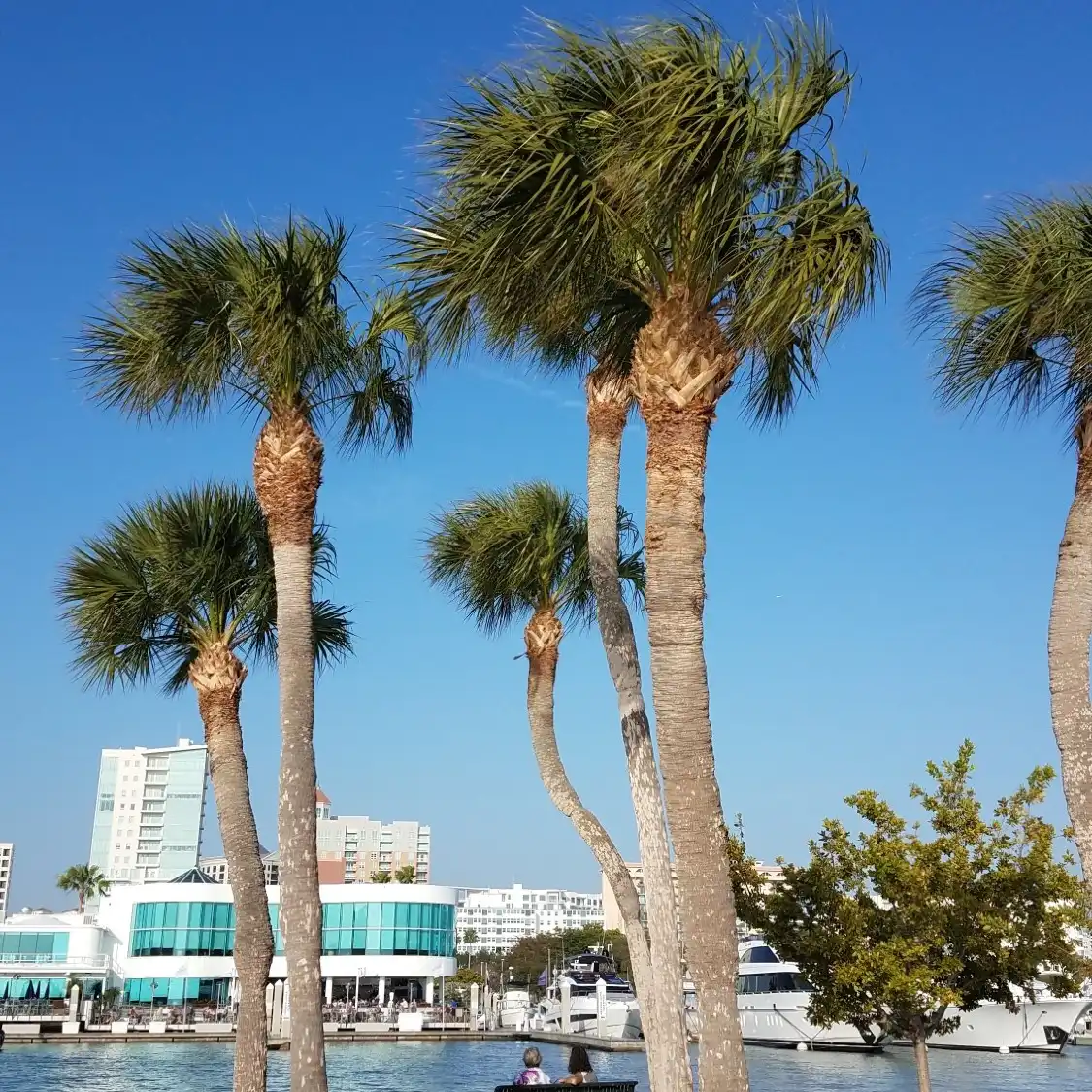 Hotels near Bayfront Park