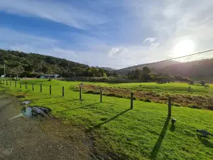 Kennet River Koala Walk