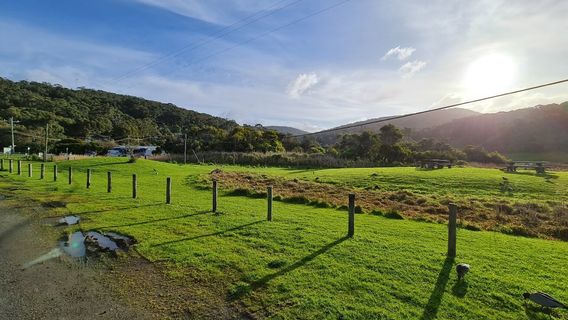 Kennet River Koala Walk