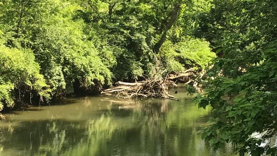 Three Creeks Metro Park