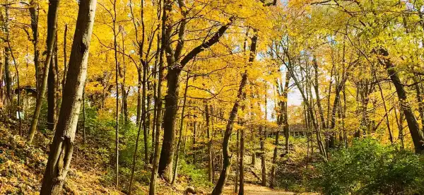 Hotels in Tippecanoe County