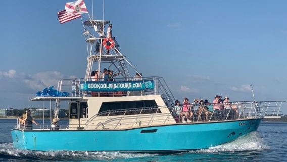 Frisky Mermaid Dolphin Cruises & Pontoon Boat Rentals