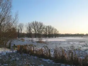 Bourgoyen-Ossemeersen