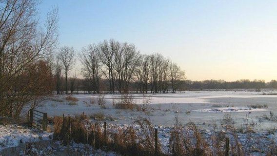 Bourgoyen-Ossemeersen