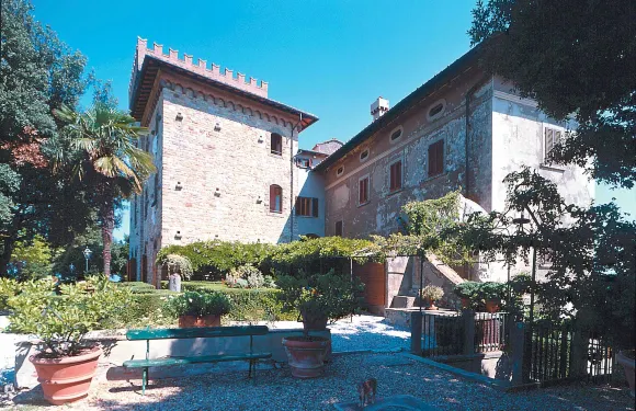 雷吉納羅蘇阿諾