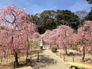 Yuki Shrine