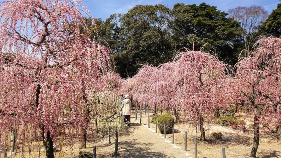 結城神社