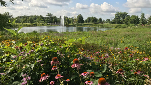 Coffee Creek Preserve