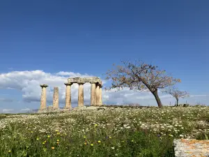 Archaeological Museum of Ancient Corinth