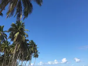 La Entrada Beach
