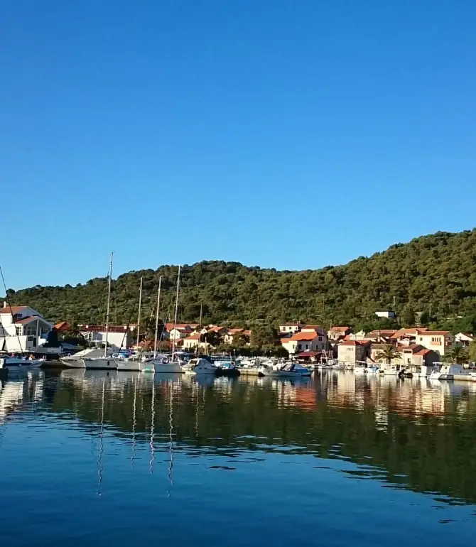 Veli Iž