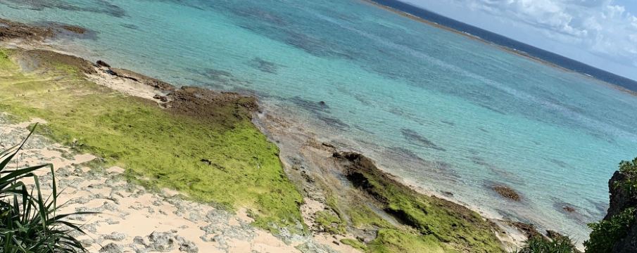 ตำบล แหลมสน