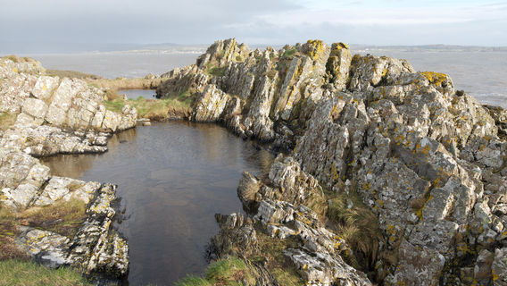 Mossyard Public Beach