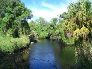 Little Manatee River State Park