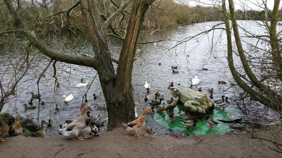 Hotels near Brickfields Pond