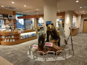 Lake Shikotsuko Visitor Center