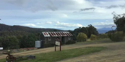 Hartzview Vineyard