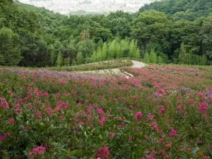 Chichibu Green Muse Park