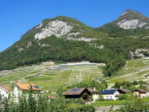 Aigle Castle