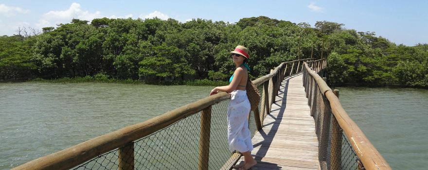 Estacao Ambiental Mangue Pequeno e Passarela no Mangue