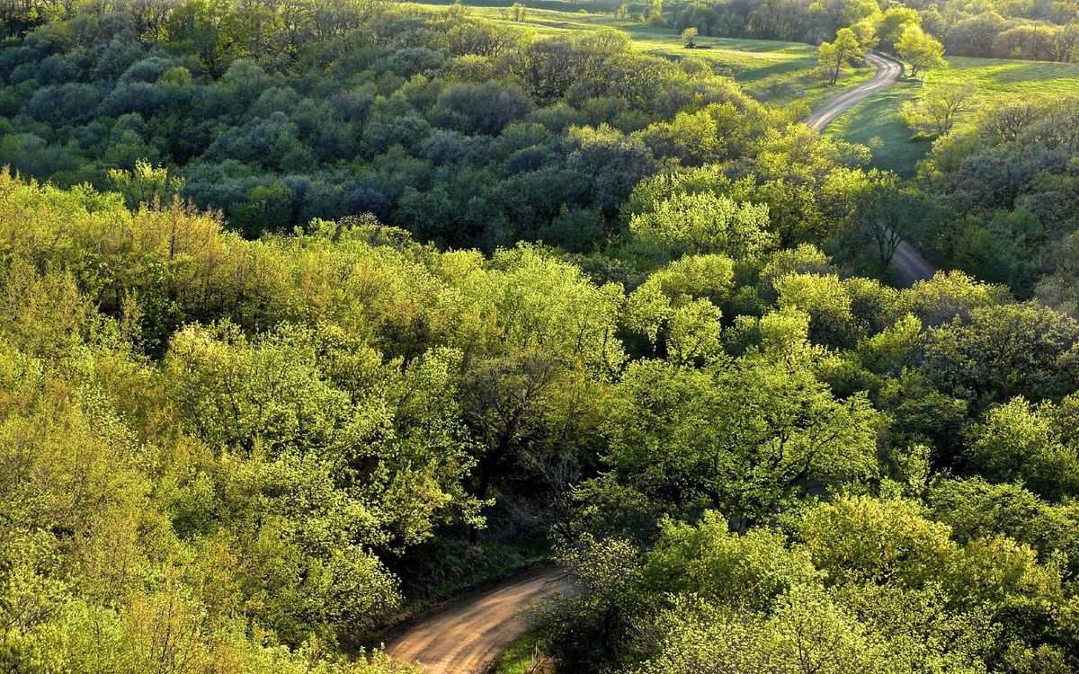 Nicollet Tower & Interpretive Center
