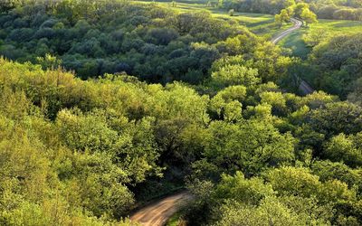 Nicollet Tower & Interpretive Center
