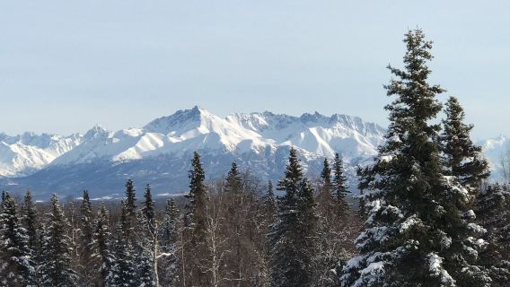 Government Peak Recreation Area