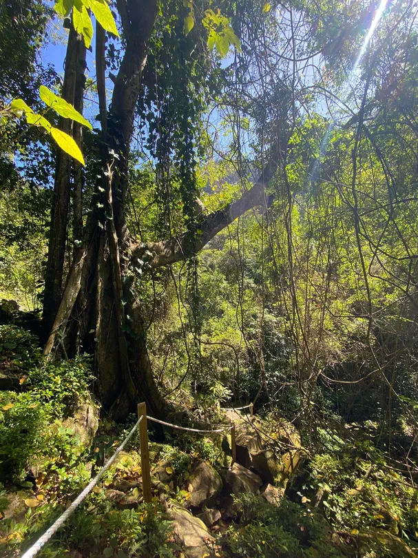 5_Quill National Park