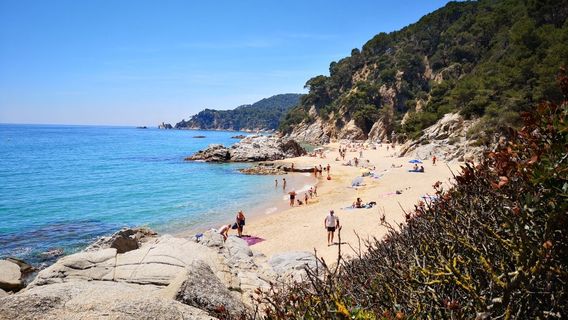 Playa Cala Sa Boadella