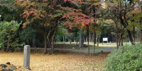 彌勒寺官衙遺跡群