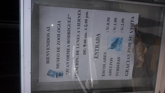 Museum of Zoology Juan Ormea A. UNT