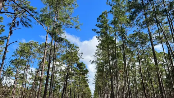 Colt Creek State Park