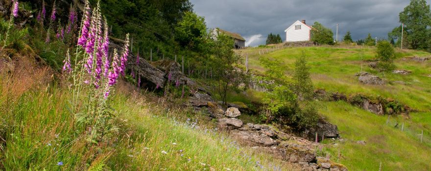 Jonegarden på Hustveit, Ryfylkemuseet