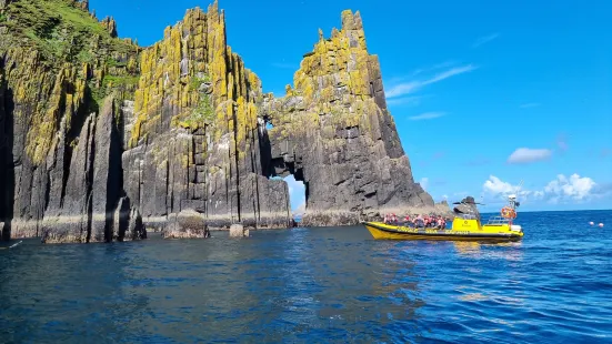 Dingle Sea Safari