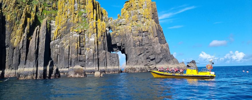 Dingle Sea Safari
