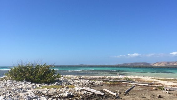 Parguera