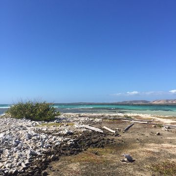 Mareaito Charters