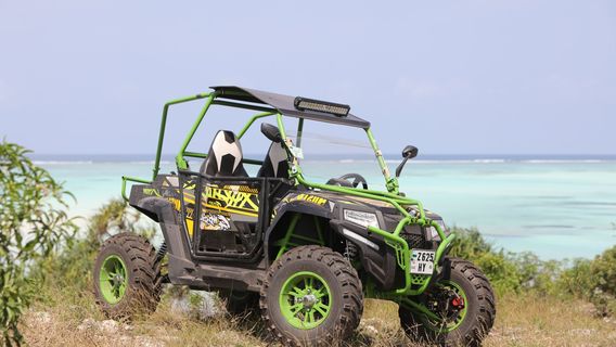 Zanzibuggy