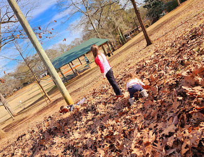Weaver Park
