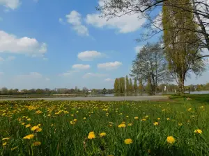 Camping La Chesnaie