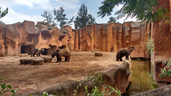 MORELIA ZOO ACUARIUM