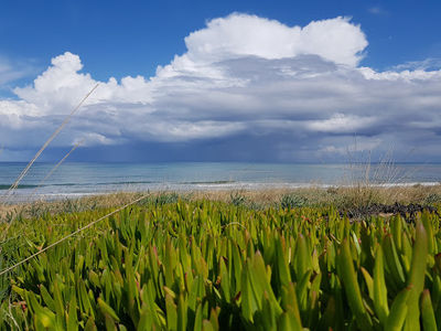 Alcamo Marina Beach - Location Canalotto