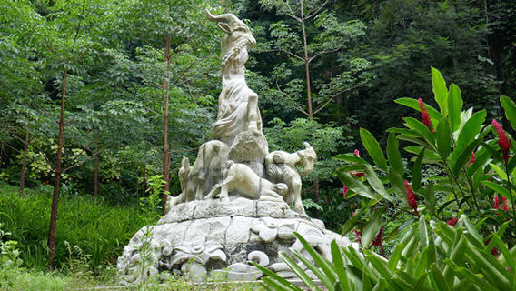 Tropical Garden