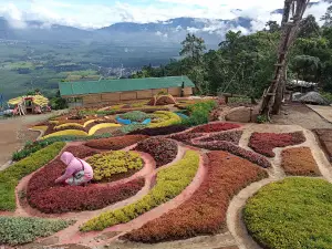 C & C Campo de Oro - Maragusan