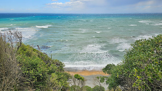 Bushy Beach Scenic Reserve
