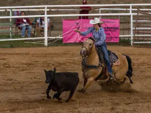 Sandoval County Fairboard