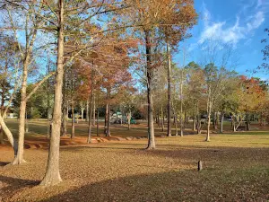 Robinson Park