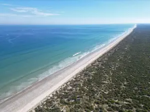 The Coorong