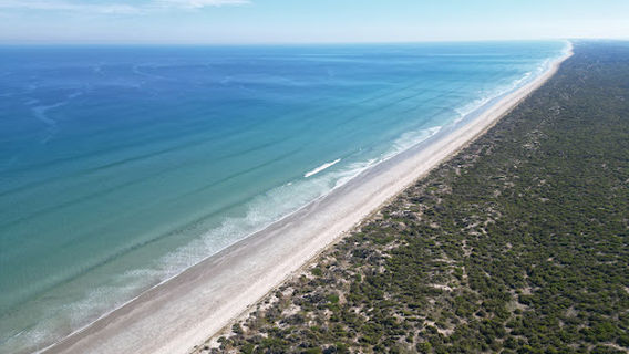 Coorong