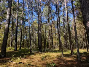 Clear Springs Nature Trail
